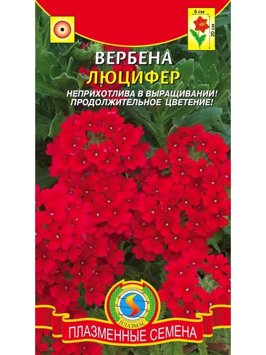 Вербена Профессиональные Семена Купить Оптом