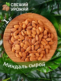 Миндаль сырой очищенный 1 кг. Свежий Урожай 122035344 купить за 896 ₽ в интернет-магазине Wildberries