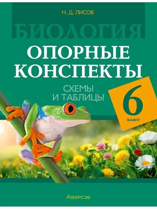 Русский язык. 6 класс. Опорные конспекты | 5–9 классы | Каталог | lastochka5.ru