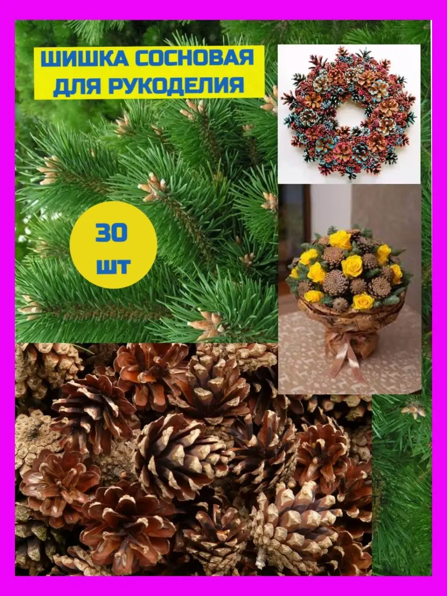 Шишки сосновые для творчества 30 штук крупные, для поделок