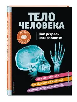 ТЕЛО ЧЕЛОВЕКА. Как устроен наш организм Эксмо 122074826 купить за 143 ₽ в интернет-магазине Wildberries