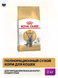 Корм для кошек сухой British Shorthair Adult 2кг RoyalCanin 122102164 купить за 3 110 ₽ в интернет-магазине Wildberries