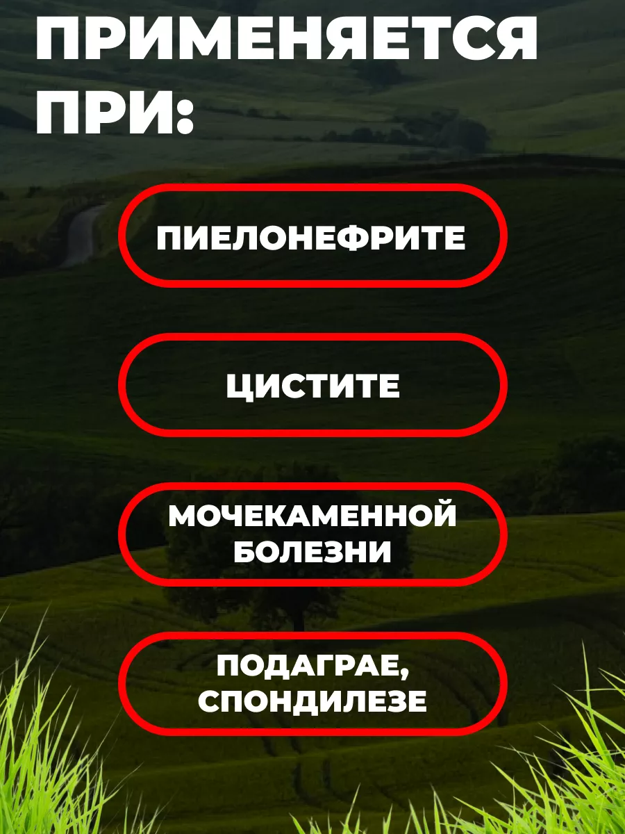 Панцерия шерстистая(измаген, залетайка) Данила Травник Мед и Конфитюр  122329825 купить за 378 ₽ в интернет-магазине Wildberries