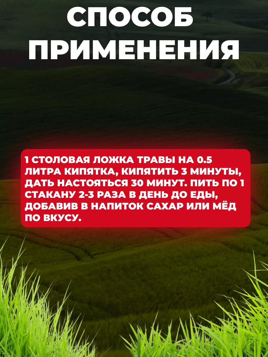 Панцерия шерстистая(измаген, залетайка) Данила Травник Мед и Конфитюр  122329825 купить за 378 ₽ в интернет-магазине Wildberries