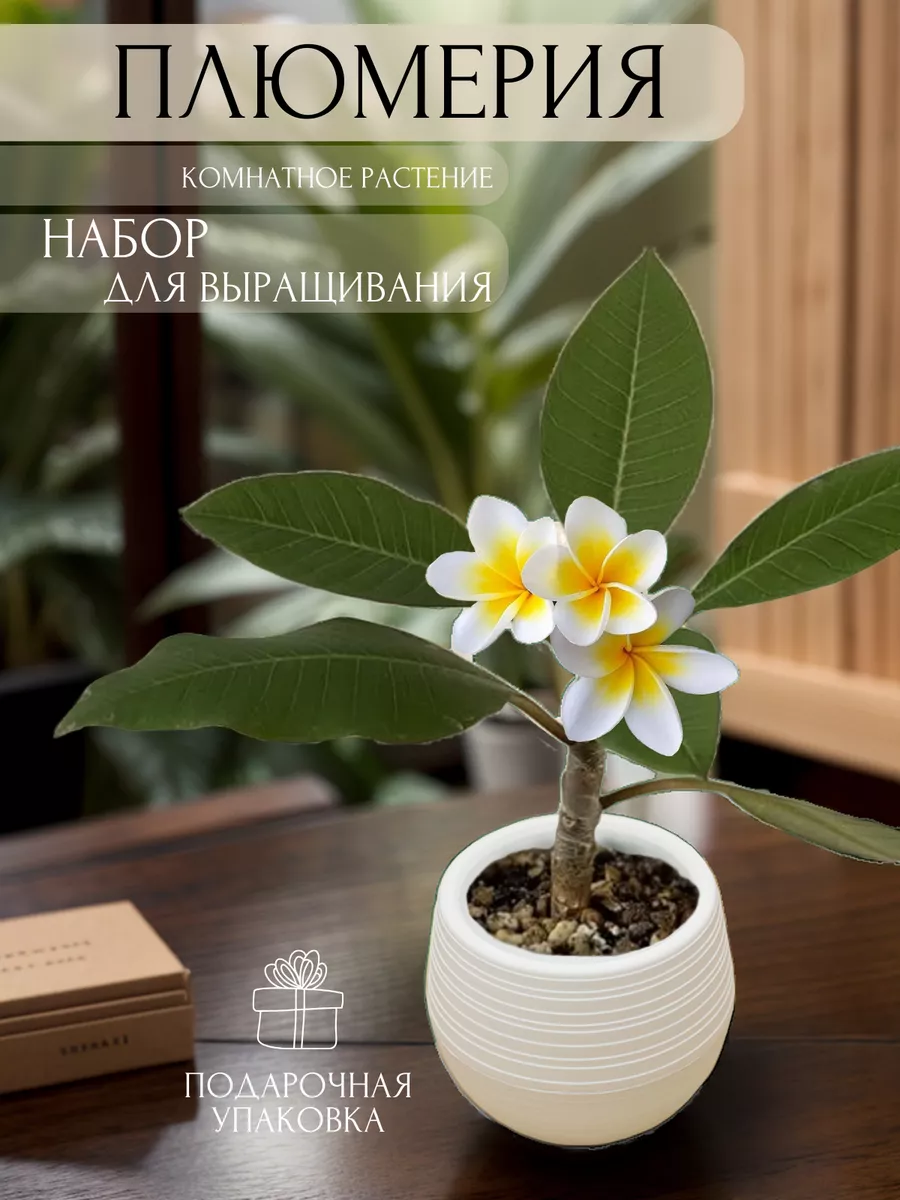 Подарочный набор для...
