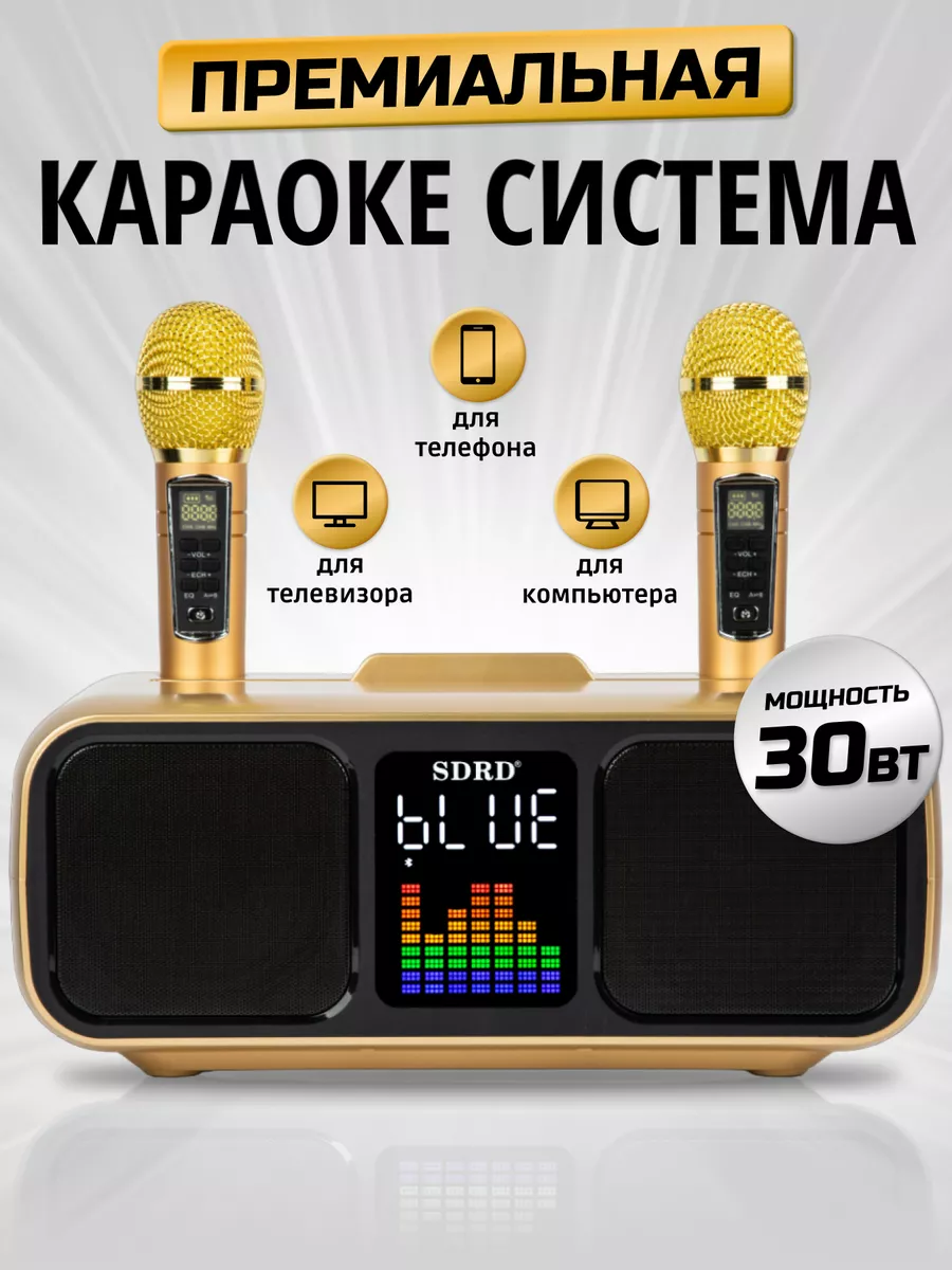 Караоке система Bluetooth для дома vipvolna 122487379 купить в  интернет-магазине Wildberries