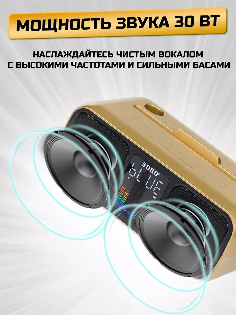 Караоке система Bluetooth для дома vipvolna 122487379 купить за 7 962 ₽ в  интернет-магазине Wildberries