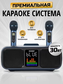 Караоке система Bluetooth для дома vipvolna 122487380 купить за 9 525 ₽ в интернет-магазине Wildberries