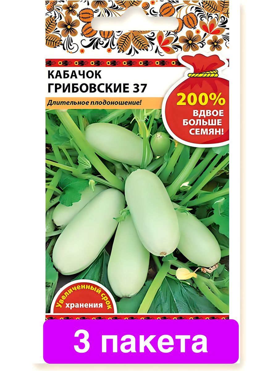 Кабачки грибовские 37 отзывы описание сорта. Кабачок Грибовские 37. Кабачок Грибовский описание. Кабачок Грибовские лтзыаы. Кабачок Грибовский 37 характеристика и описание сорта фото отзывы.