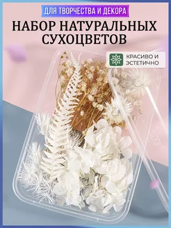 Набор сухоцветов для декора и творчества Fiorif 122654856 купить за 265 ₽ в интернет-магазине Wildberries