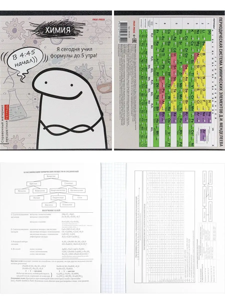 Предметные тетради 48 листов в клетку 10 штук Prof-Press 123045908 купить в  интернет-магазине Wildberries