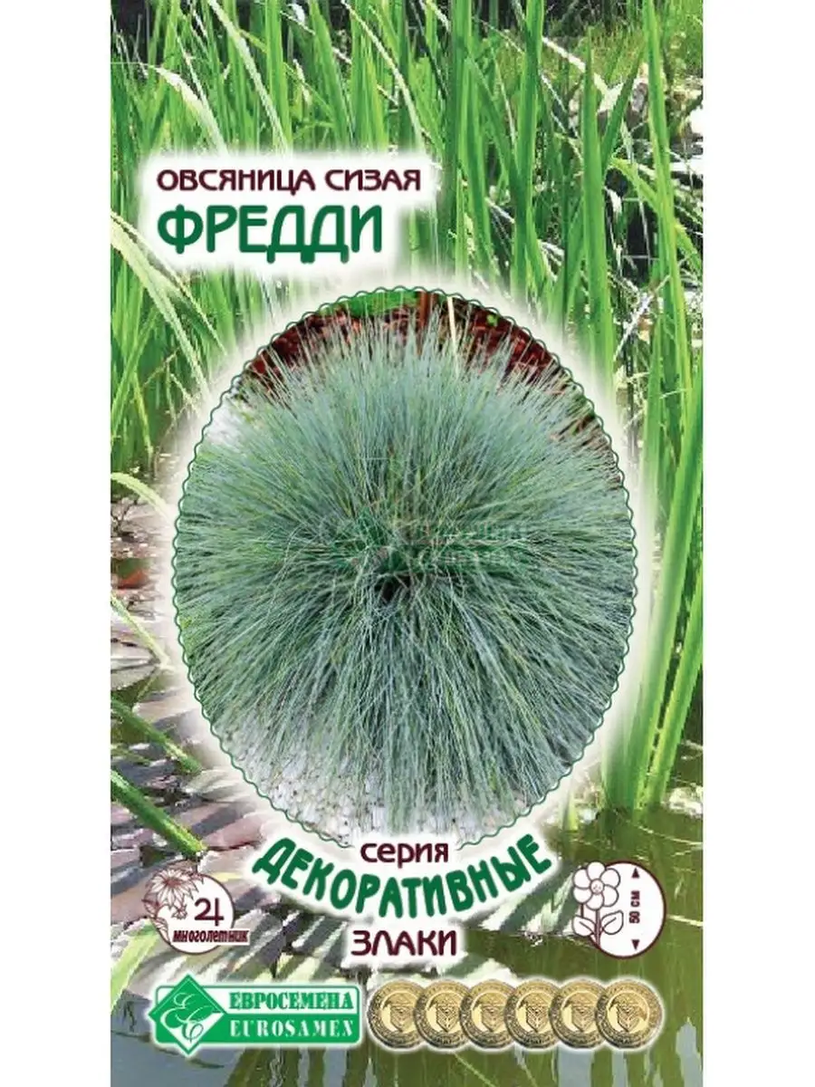 Овсяница сизая Фредди семена Стильные цветы 123065821 купить за 112 ₽ в  интернет-магазине Wildberries