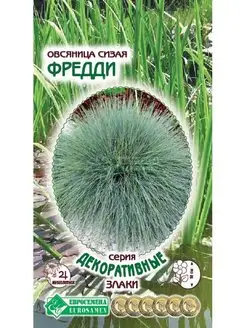 Овсяница сизая Фредди семена Стильные цветы 123065821 купить за 143 ₽ в интернет-магазине Wildberries