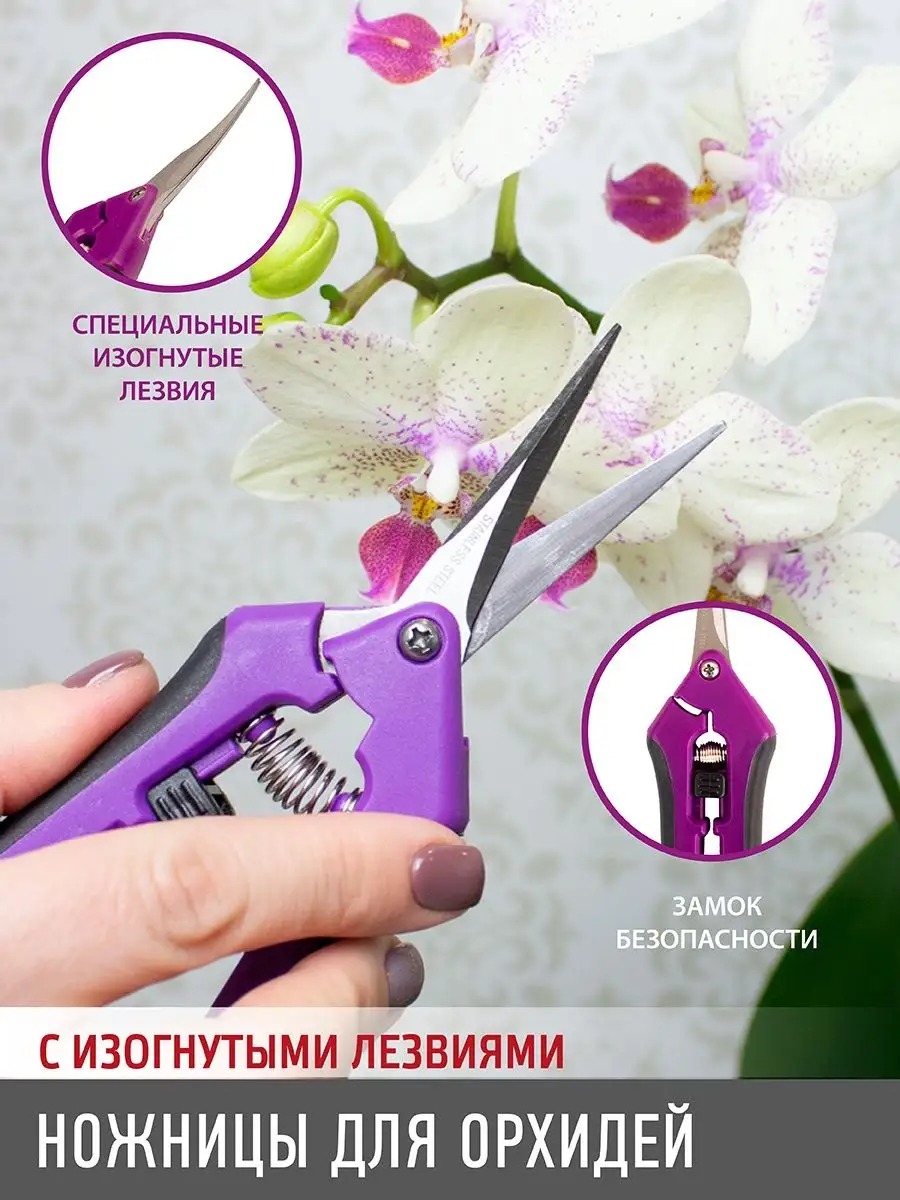 Садовые ножницы для орхидей с изогнутыми лезвиями GARDEN SHOW 123083302  купить за 294 ₽ в интернет-магазине Wildberries