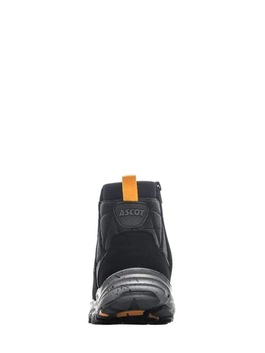 Ботинки ZODIAC Ascot 123095938 купить за 5 613 ₽ в интернет-магазинеWildberries