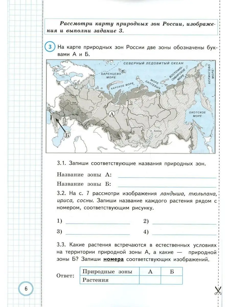 ВПР Окружающий мир 4 класс 10 вариантов Экзамен 123298652 купить за 298 ₽ в  интернет-магазине Wildberries