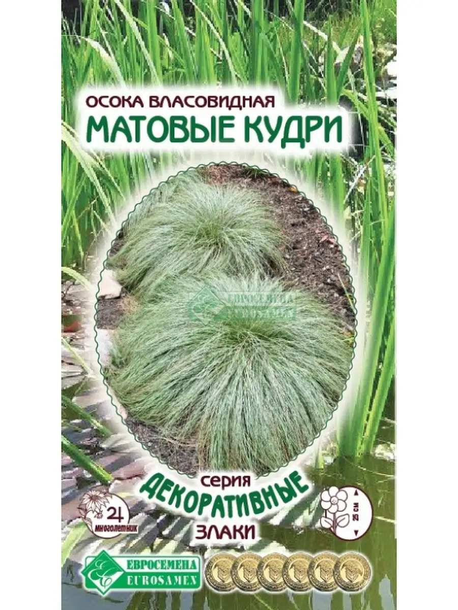 Осока власовидная «Матовые Кудри» семена Стильные цветы 123368238 купить за  110 ₽ в интернет-магазине Wildberries