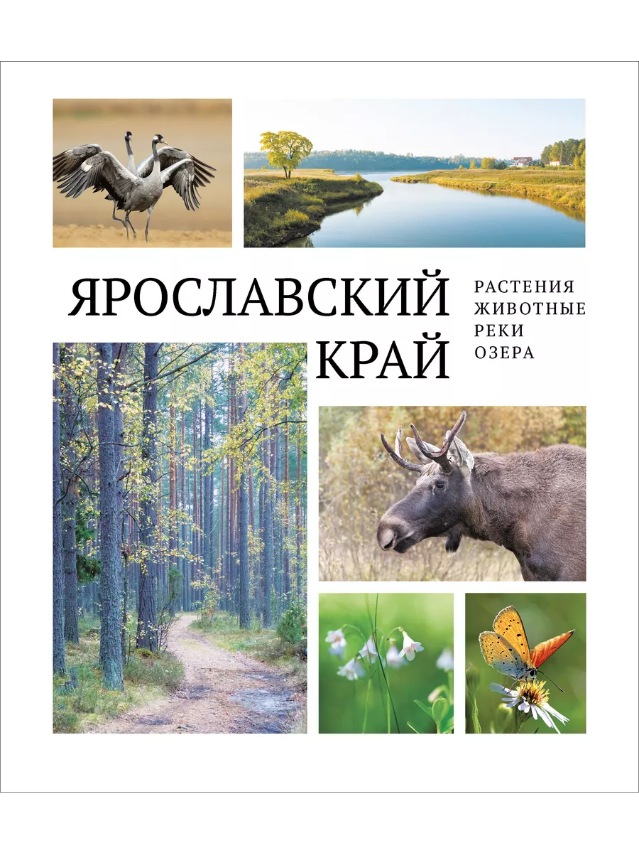 Ярославский край: растения и животные, реки и озёра Издательство  