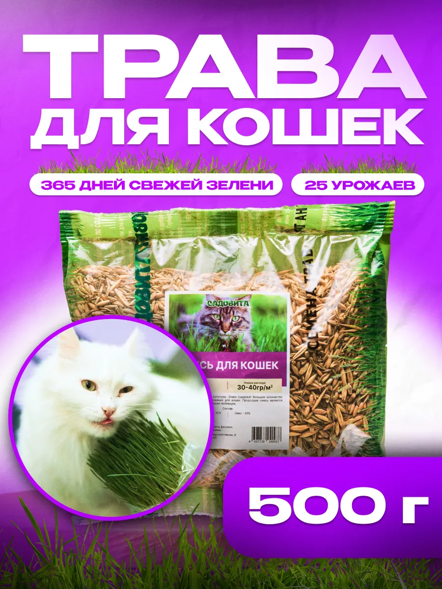 Трава для кошек, для...