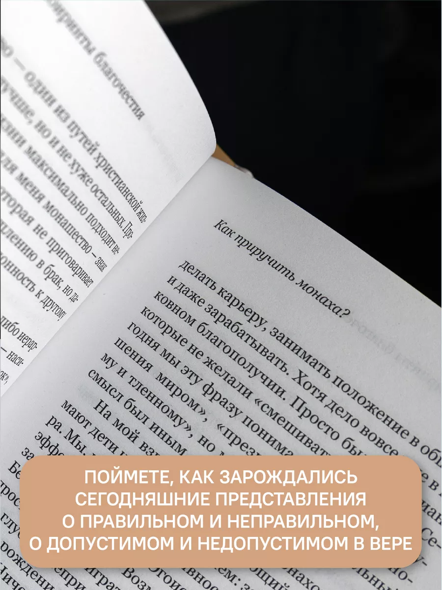 Лабиринты благочестия Архимандрит Савва Мажуко Никея 123874819 купить в  интернет-магазине Wildberries