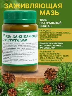 Мазь заживляющая Таежная продукция 123911936 купить за 384 ₽ в интернет-магазине Wildberries