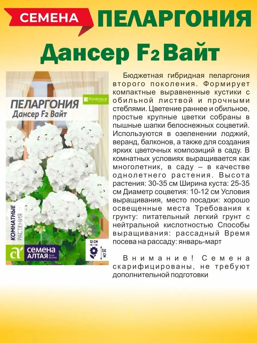 Пеларгония (герань) Семена Алтая 123926056 купить за 366 ₽ в  интернет-магазине Wildberries