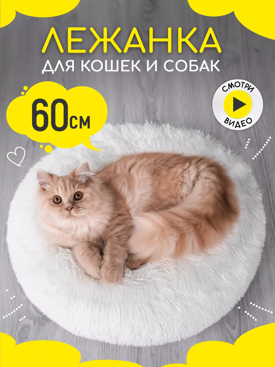 Как выбрать спальное место для кота: дарим питомцу тепло и комфорт