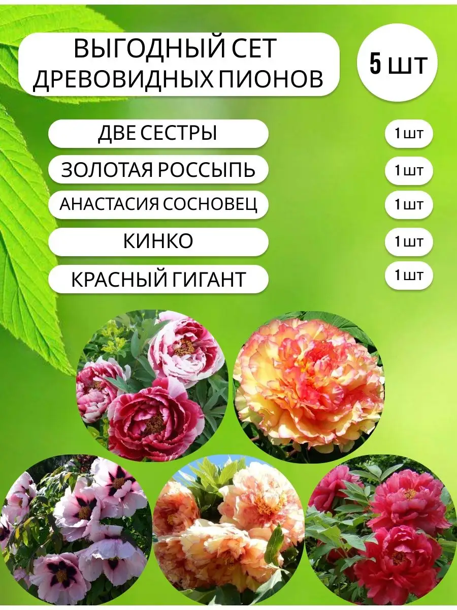 Пион уклоняющийся (марьин корень), 100г