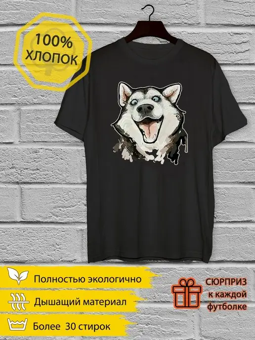 Куртка аляска Apolloget HUSKY 2