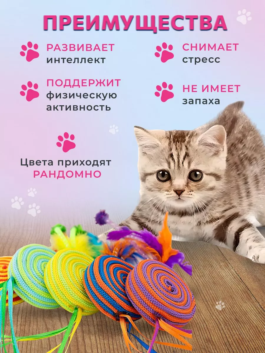 Игрушки для кошек FUN SPYCAT 124274000 купить за 138 ₽ в интернет-магазине  Wildberries