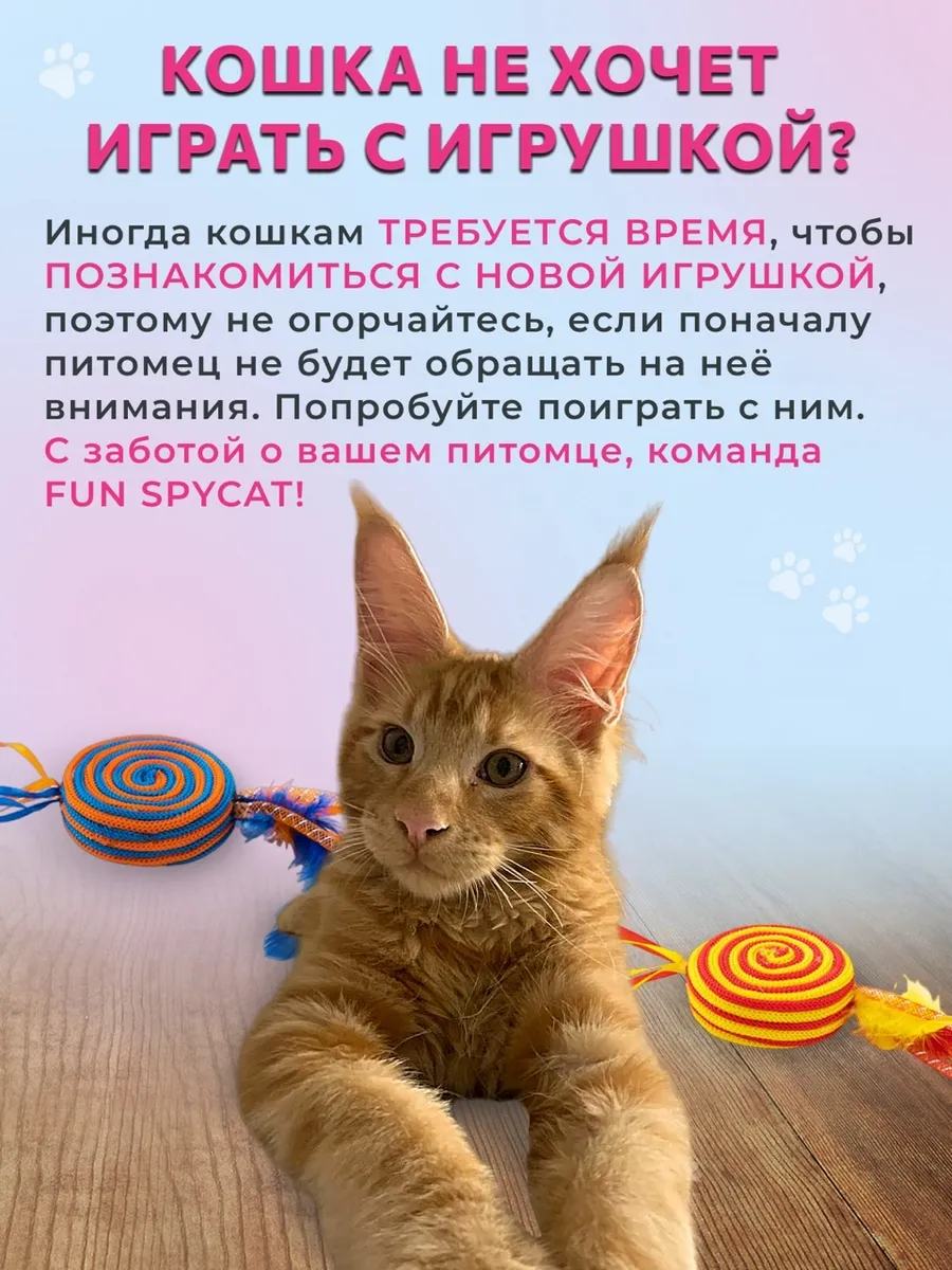 Игрушки для кошек FUN SPYCAT 124274000 купить за 138 ₽ в интернет-магазине  Wildberries