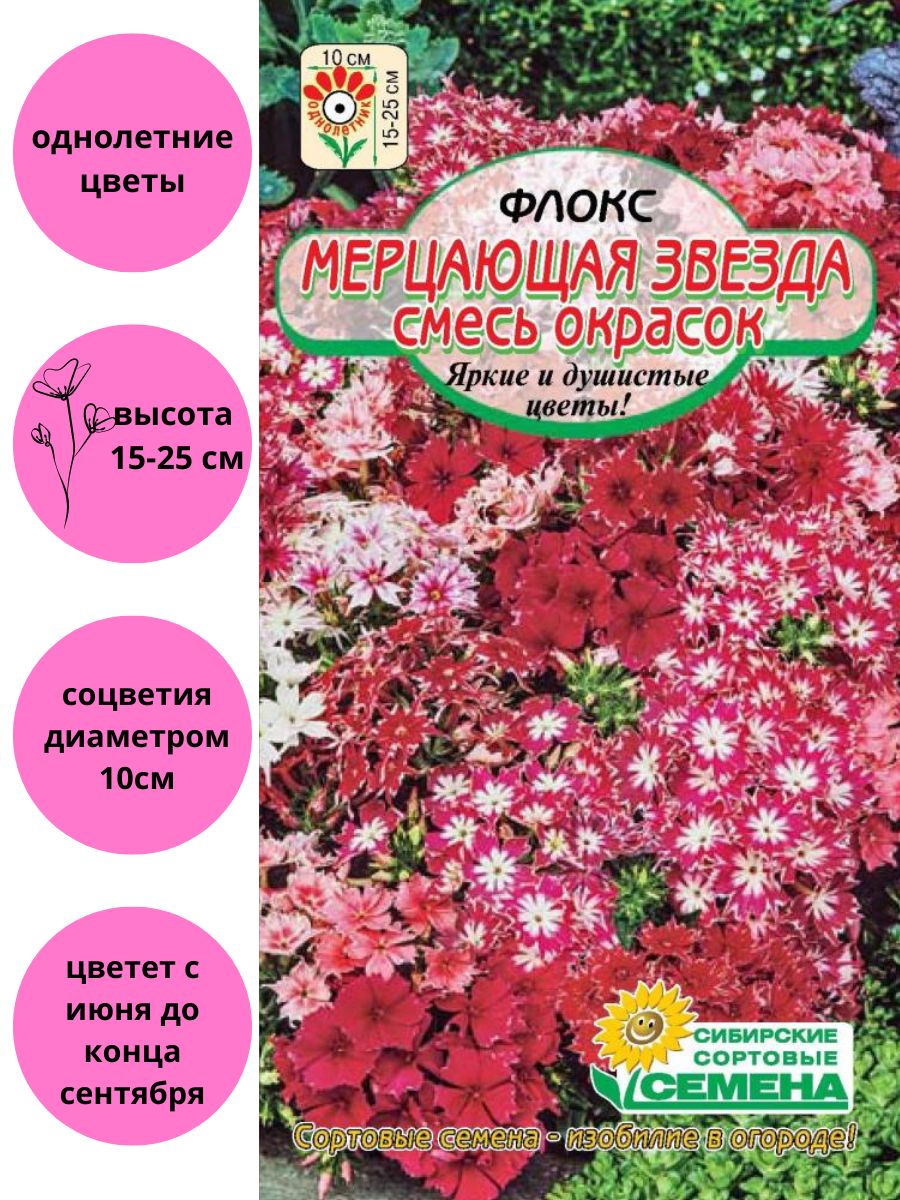 Флокс Мерцающая звезда смесь окрасок Сибирские сортовые семена 124416714  купить за 114 ₽ в интернет-магазине Wildberries