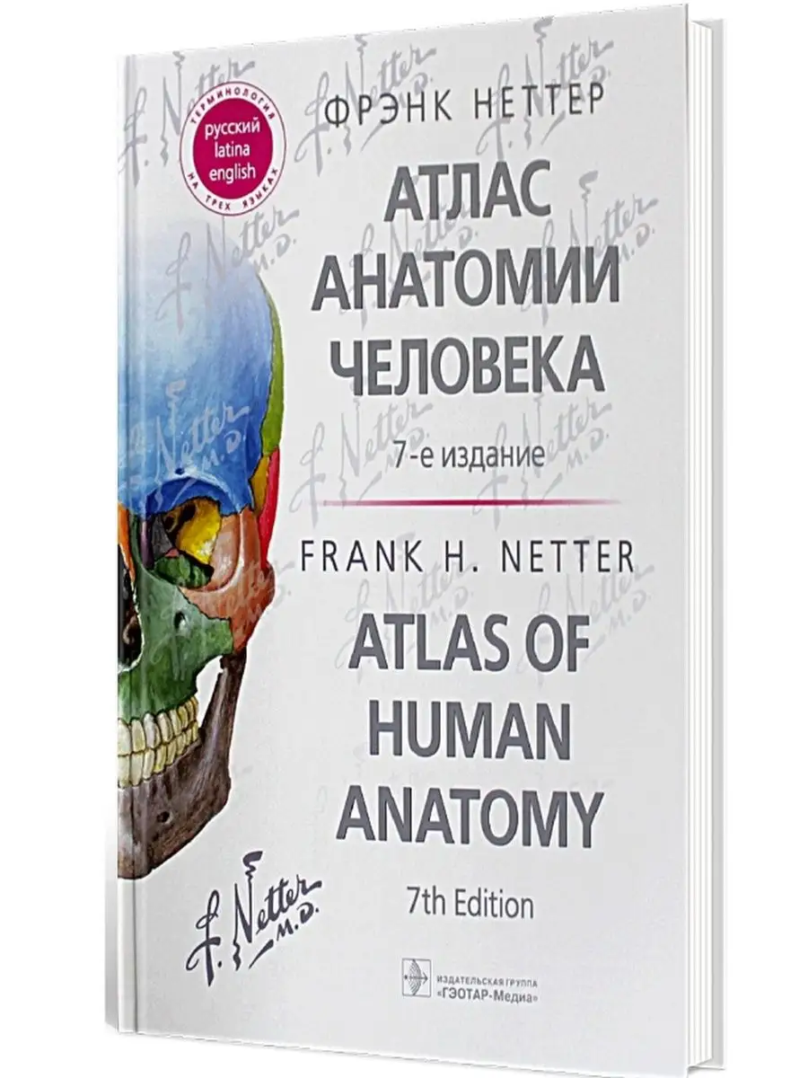 Атлас анатомии человека.