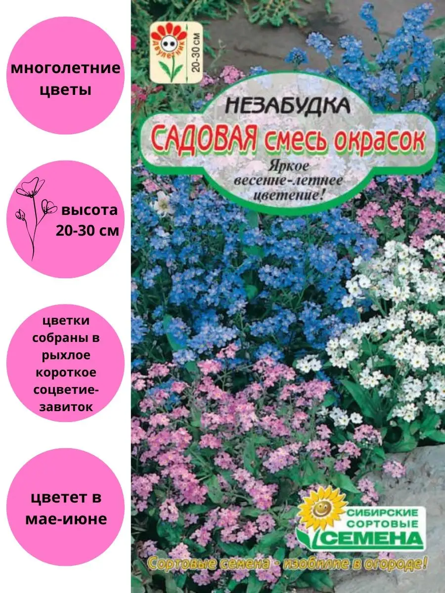 Незабудка Садовая смесь Сибирские сортовые семена 124514840 купить за 130 ₽  в интернет-магазине Wildberries