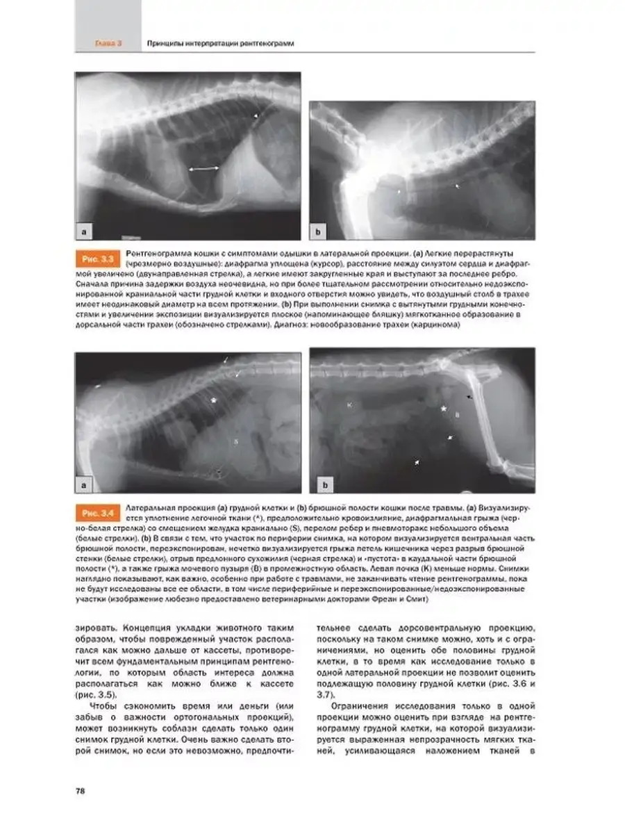 Рентгенография и рентгенология собак и кошек Издательство Аквариум  124697215 купить за 7 092 ₽ в интернет-магазине Wildberries