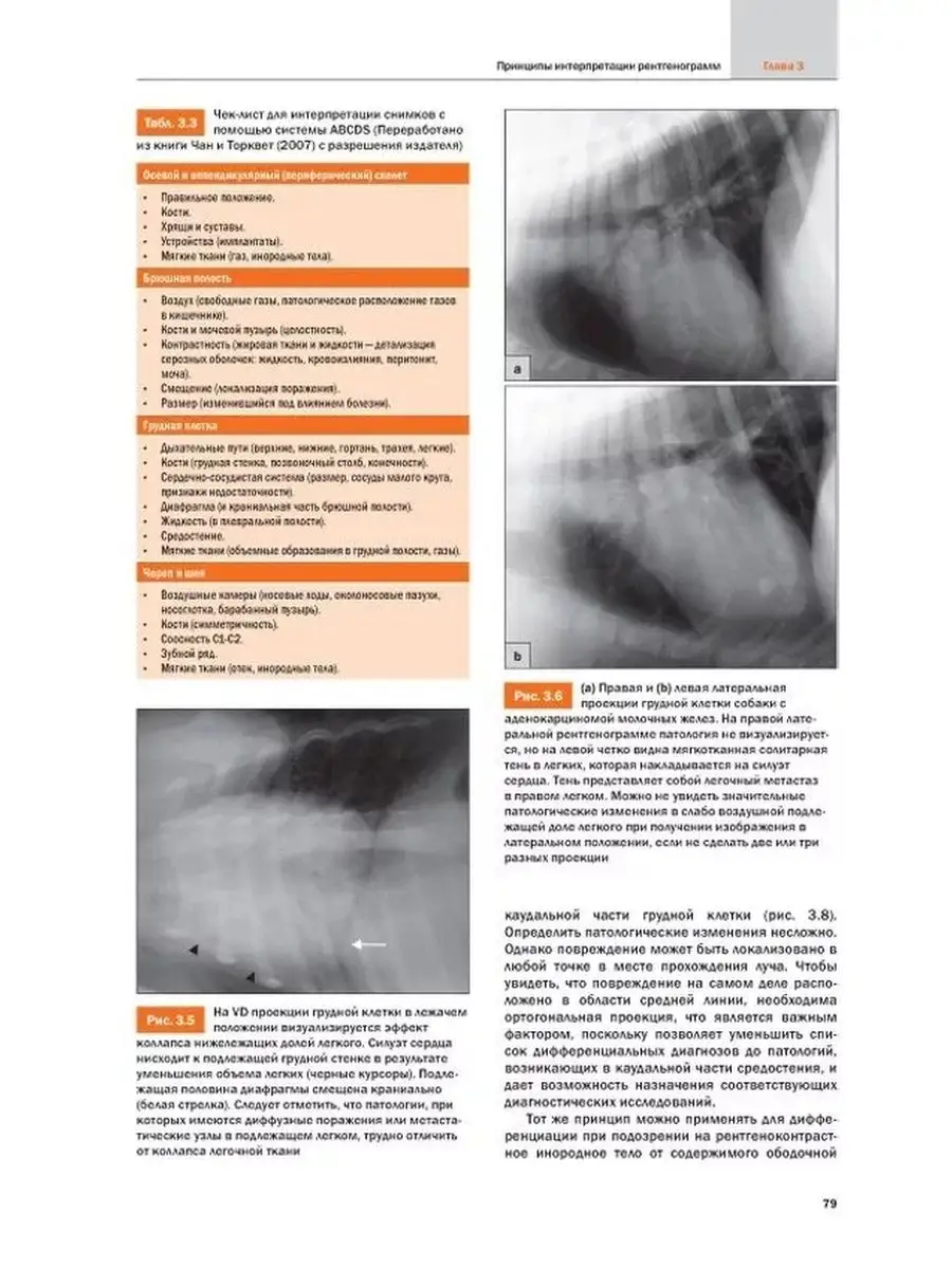 Рентгенография и рентгенология собак и кошек Издательство Аквариум  124697215 купить за 7 092 ₽ в интернет-магазине Wildberries