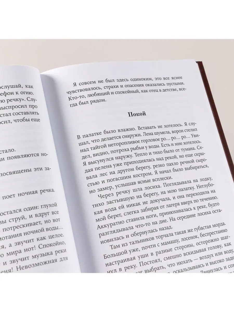 Одинокое путешествие накануне зимы Альпина. Книги 125149629 купить за 593 ₽  в интернет-магазине Wildberries