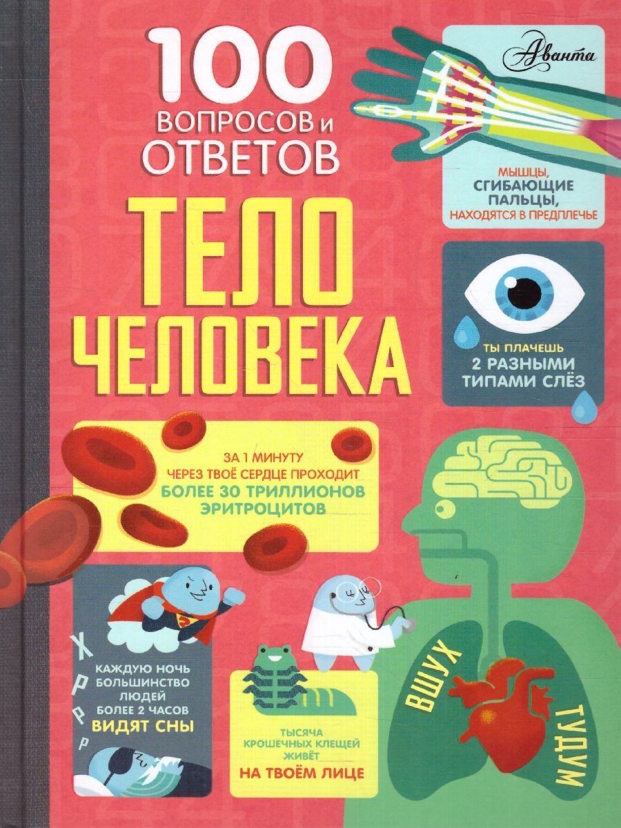 Тело человека. 100 вопросов и ответов Издательство АСТ 125183828 купить в  интернет-магазине Wildberries