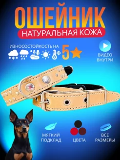 Ошейник для сoбак натуральная кожа широкий YourPetStore 125245800 купить за 425 ₽ в интернет-магазине Wildberries