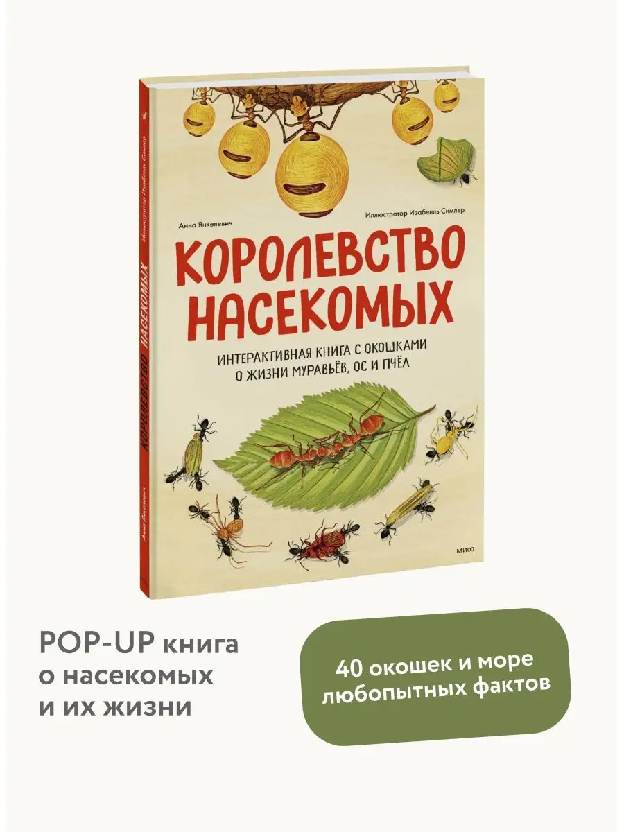 Королевство насекомых. Интерактивная книга с окошками Издательство Манн,  Иванов и Фербер 125912411 купить за 2 370 ₽ в интернет-магазине Wildberries