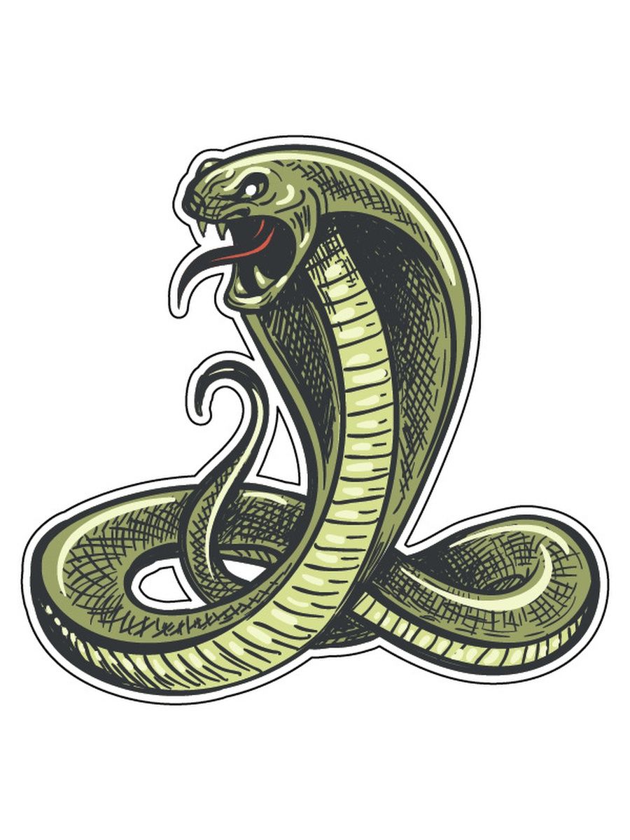 Наклейка змея