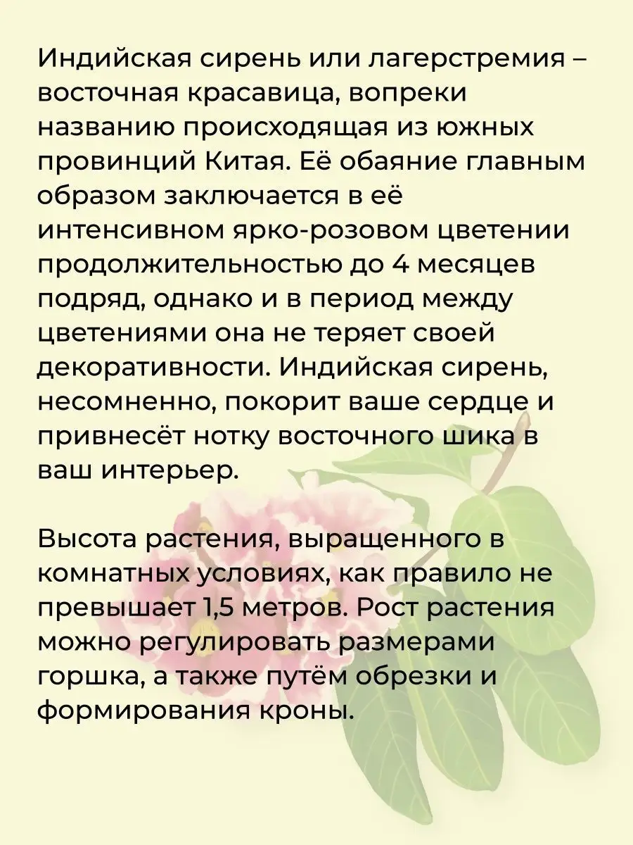 Набор для выращивания растений и цветов в горшке для дома Тысяча листьев  125986930 купить в интернет-магазине Wildberries