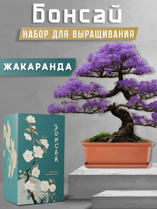 Новые работы в разделе «Бонсай, топиарий, ёлка» на тему «День семьи» | Страна Мастеров