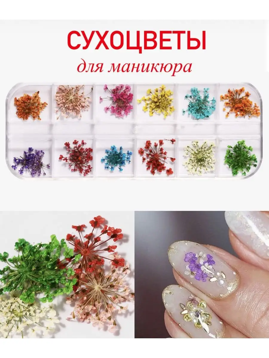 Сухоцветы для ногтей