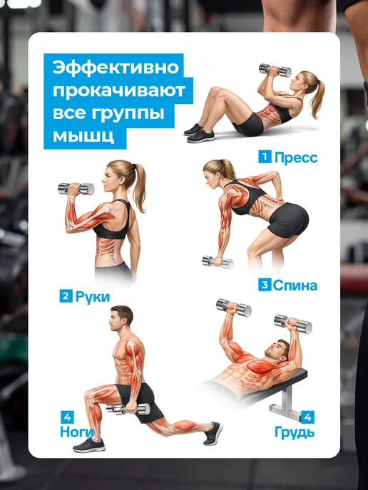stecter Гантель хромированная стальная 4 кг, 4 кг, фото 3