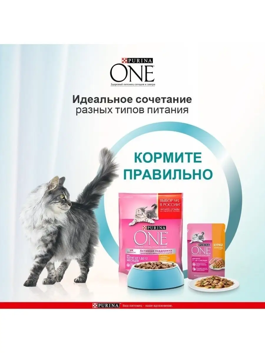 Влажный корм для котят с курицей и морковью 26 шт по 75 г PURINA ONE  126758930 купить за 824 ₽ в интернет-магазине Wildberries