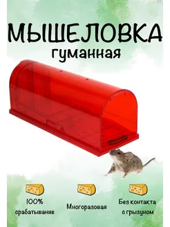 Мышеловка для мышей гуманная Планета Садовод 126830759 купить за 408 ₽ в интернет-магазине Wildberries