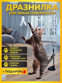 Игрушка для кошек и котят дразнилка интерактивная Страна животных 126984883 купить за 334 ₽ в интернет-магазине Wildberries