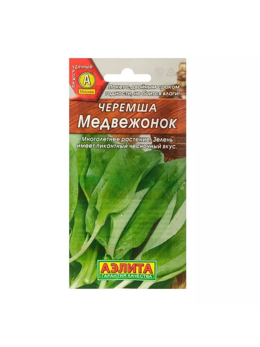 Семена Черемши Купить