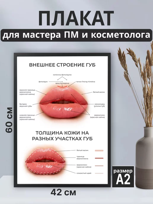 Beauty Poster Плакат постер для бровиста, мастера татуажа,салона красоты